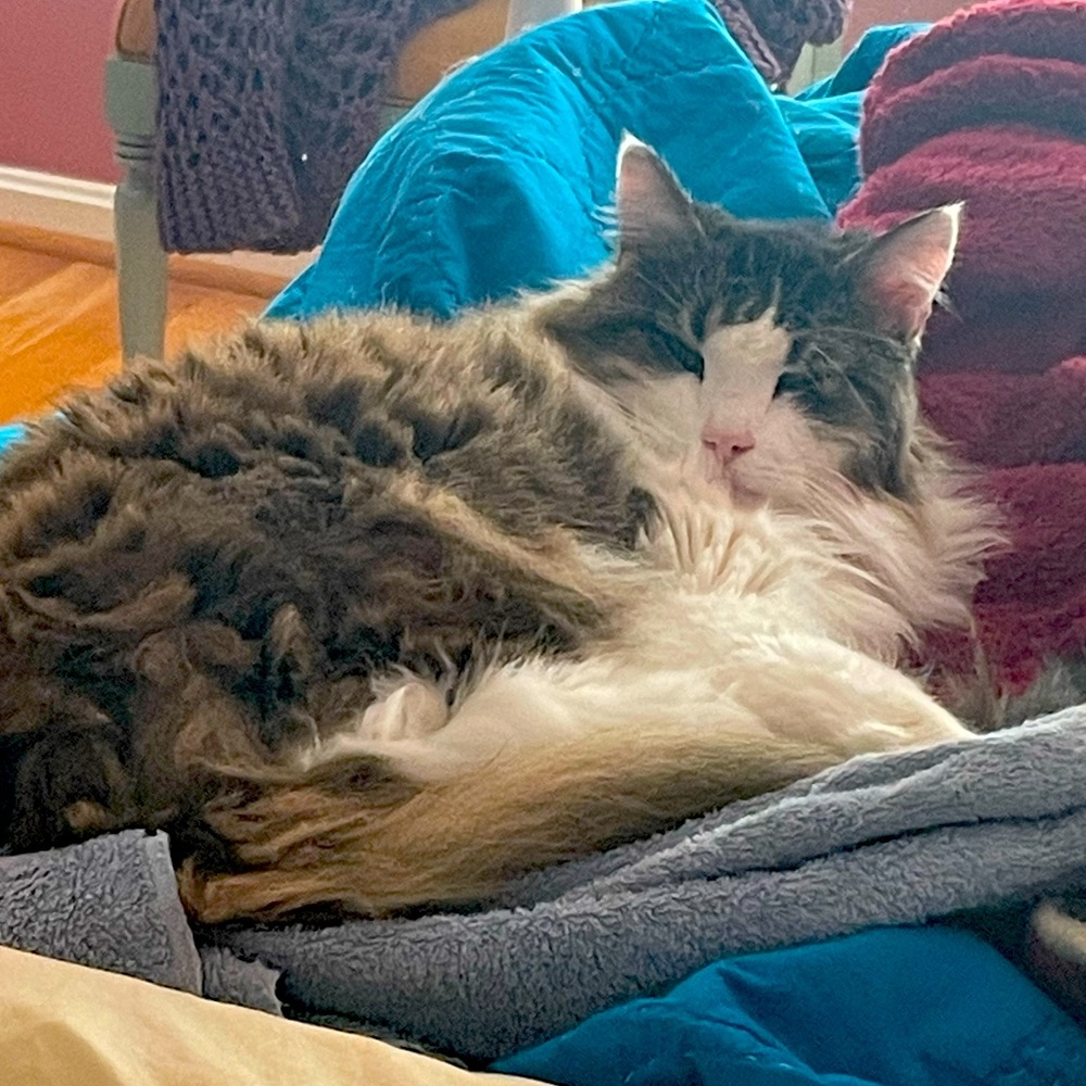 Welcome to my closet!